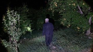 Tescilli narda çiftçilerin domuz nöbeti