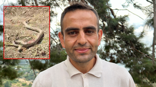 Toprağa gizlenen zehirli engerek kameraya yakalandı