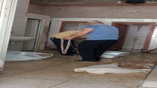 Umumi tuvalette bağırsak temizlediler