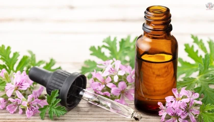 Yapraklarından yayılan kokuyla tanınır, haşereleri uzak tutar...