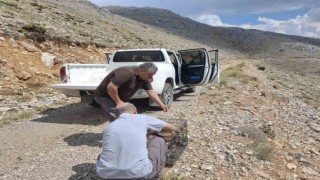 Yaralı bulunan kızıl şahin tedavi edilerek doğaya salındı