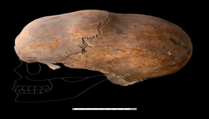 Yassıhöyükte 6 bin yıllık kafatası bulundu