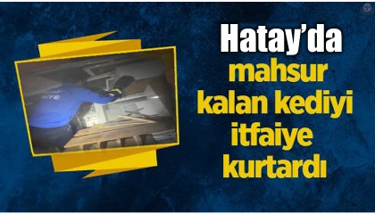 Yayladağında mahsur kalan kediyi itfaiye kurtardı