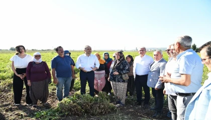 Yer fıstığının başkenti Osmaniyede festival heyecanı