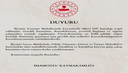 Adanada bir mahalleye ‘mavi dil karantinası