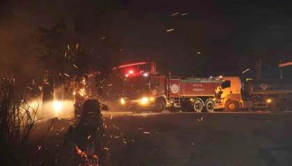 Adanada ormanlık alanda yangın