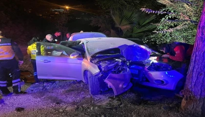 Ağaca çarpan otomobilde hayatını kaybetti