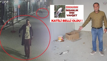 Akılalmaz olay: İş yerinin kapısını açıp kedileri köpeklere parçalattı