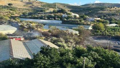 Alanyada avokado bahçesinde yangın: 60 ağaç kül oldu