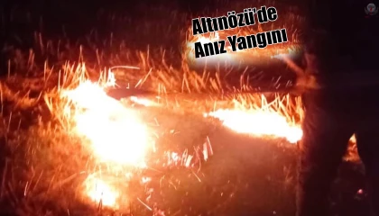 Altınözüde anız yangını