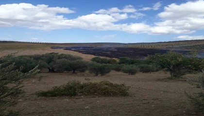 Altınözünde anız yangını