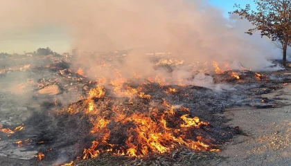 Antakyada çöp yangını