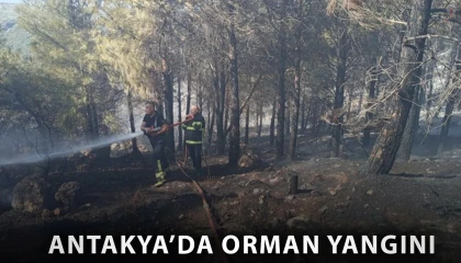 Antakyada orman yangını