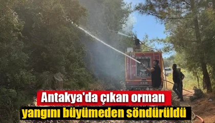 Antakyada orman yangını kısa sürede söndürüldü