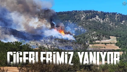 Antakyada ormanlık alanda yangın