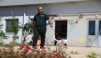 Antalyasporun yeni misafiri: Akrep