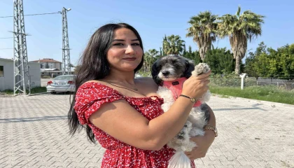 Şilanın yeni yuvası depremzede ailenin konteyneri oldu