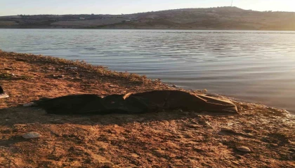 Balık tutmaya gittiği yerde aracıyla göle düşen şahıs hayatını kaybetti