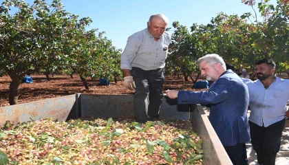 Başkan Görgel: “Pazarcık Fıstığının tescili için gerekli süreçleri başlatıyoruz”