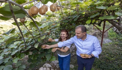 Başkan Seçer, Kivi Şenliğine katıldı