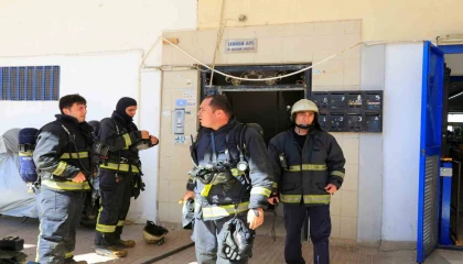 Bodrum katta çıkan yangın sonrası yavru kedi alarmı