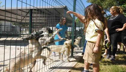 Çocuklar hayvan bakımevini gezdi