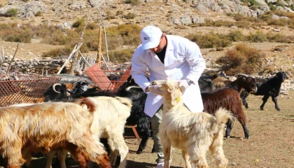 Elmalıda Çoban Haritası Projesi tamamladı
