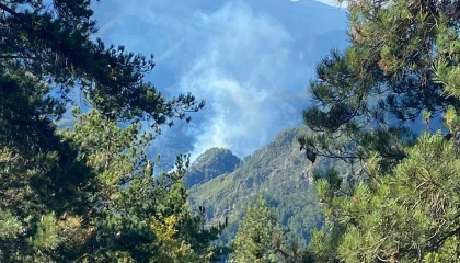 Hatayda orman yangını