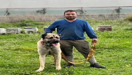 İskeleden denize atlayıp kuma çakılan genç, 1 aylık yaşam savaşını kaybetti