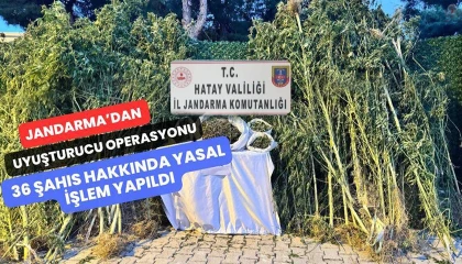 Jandarmadan uyuşturucu operasyonu: 36 şahıs hakkında yasal işlem yapıldı