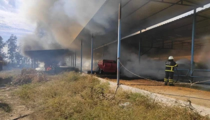 Kumluda samanlık yangını