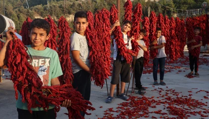 Kurutmalık biberlerle mahalle adeta kırmızıya büründü