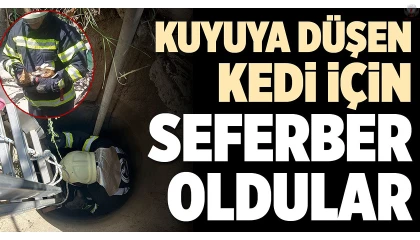 Kuyuya düşen kediyi itfaiye kurtardı