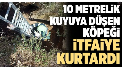 Kuyuya düşen köpeği itfaiye kurtardı