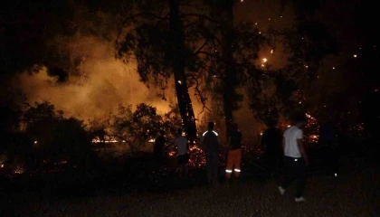 Manavgatta korkutan orman yangını büyümeden söndürüldü