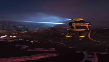 Mersinde domates serasında korkutan yangın