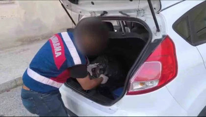 Mersinde jandarmadan uyuşturucu operasyonu: 2 tutuklu