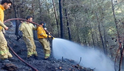 Mersinde orman yangını havadan ve karadan müdahaleyle söndürüldü