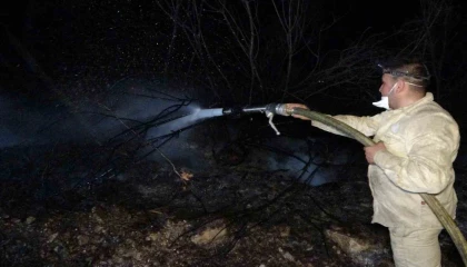 Mersinde orman yangınları: Çok sayıda ekip müdahale ederek söndürdü