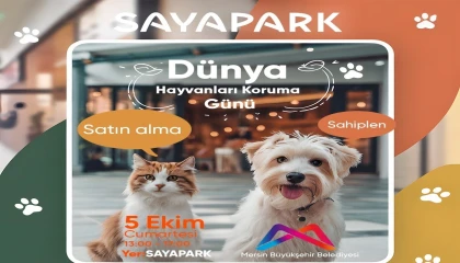 Mersinde sokak hayvanları sahiplendiriliyor