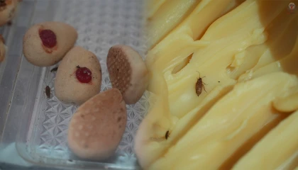 Mide bulandıran görüntülerin oluştuğu işletmeye para cezası uygulandı