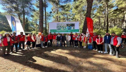 Osmaniyede ormanlık alanlar temizlendi