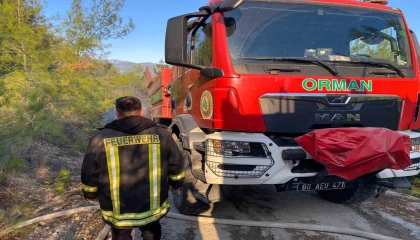 Osmaniyedeki orman yangını söndürüldü
