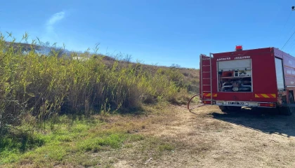 Parkta çıkan yangın makilik alana sıçradı