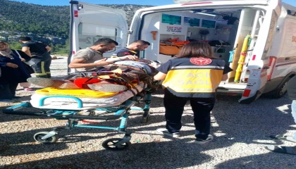 Tuvalet için yol kenarında durdu, 40 metrelik uçuruma yuvarlandı