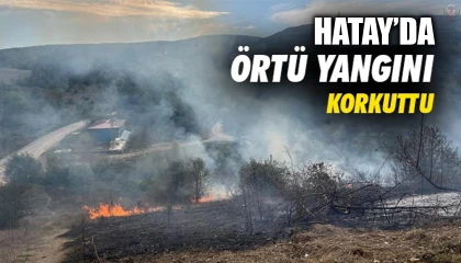 Yayladağında örtü yangını