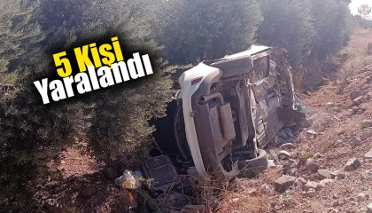 Zeytin bahçesine uçan otomobildeki 5 kişi yaralandı