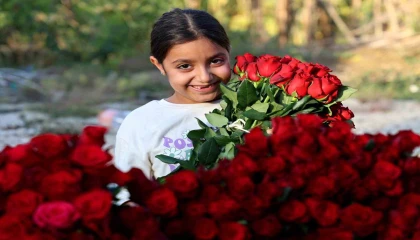 Adanada gül hasadı yüz güldürdü