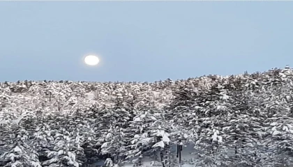 Adananın Feke ilçesi beyaza büründü