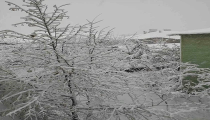 Adananın yüksek kesimlerinde kar yağışı başladı